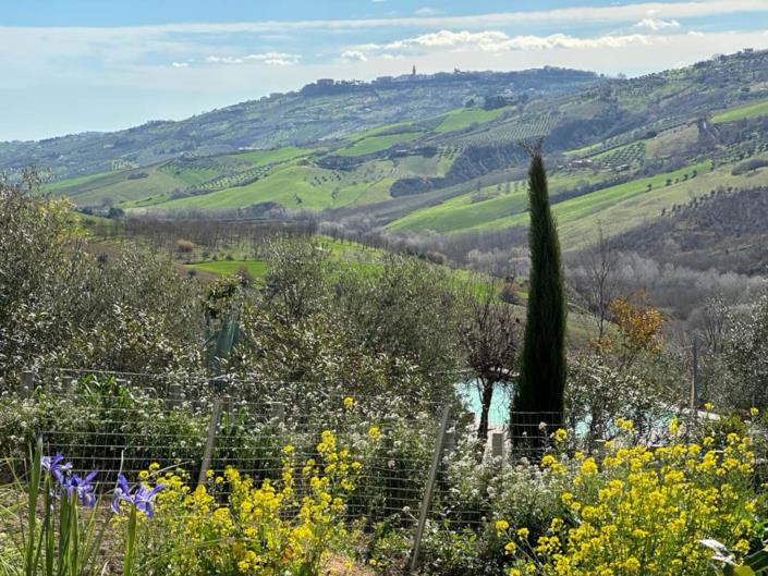 Image No.41-4 Bed Country House for sale