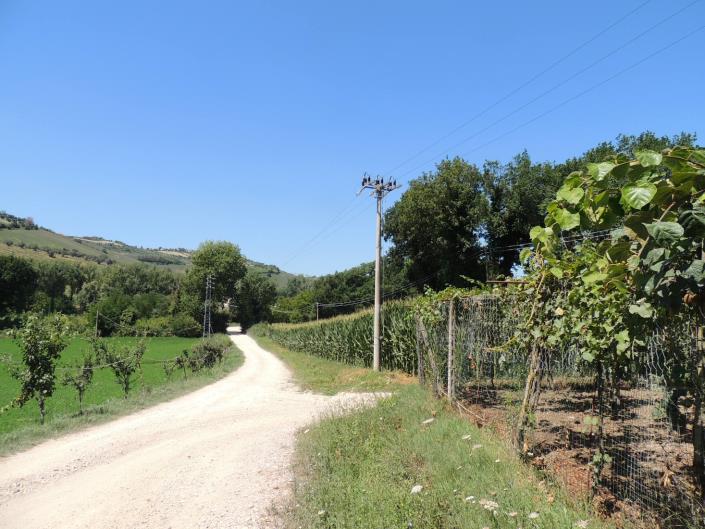 Image No.5-2 Bed Farmhouse for sale