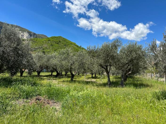 Image No.21-2 Bed House for sale