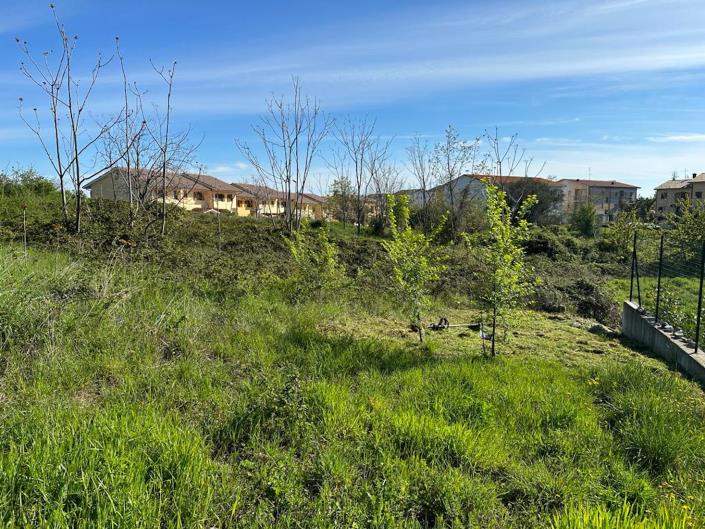 Image No.8-Land for sale