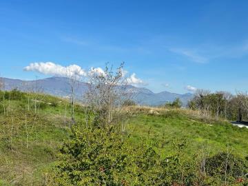 WhatsApp-Image-2023-04-22-at-09-31-18--15-