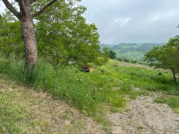 WhatsApp-Image-2023-06-05-at-20-17-29--1-