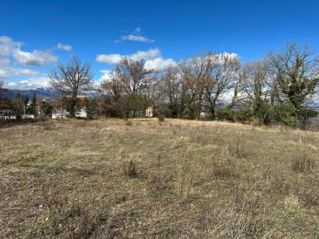 WhatsApp-Image-2023-03-01-at-14-41-54--10-