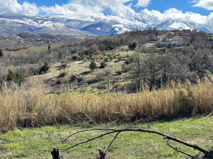 Image No.6-Land for sale