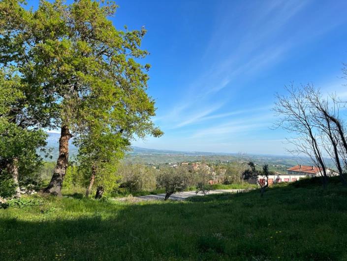 Image No.3-Land for sale