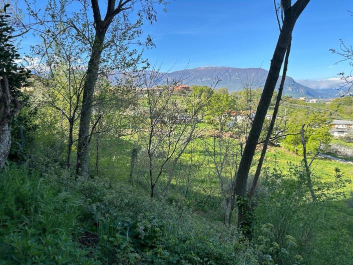 Image No.5-Land for sale