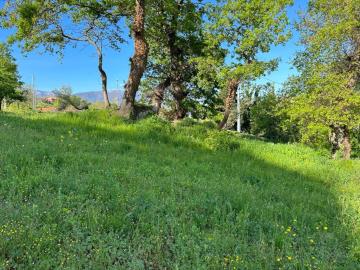 WhatsApp-Image-2023-04-22-at-09-32-12--13-