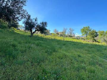 WhatsApp-Image-2023-04-22-at-09-32-12--16-