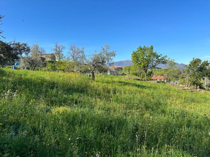 Image No.11-Land for sale