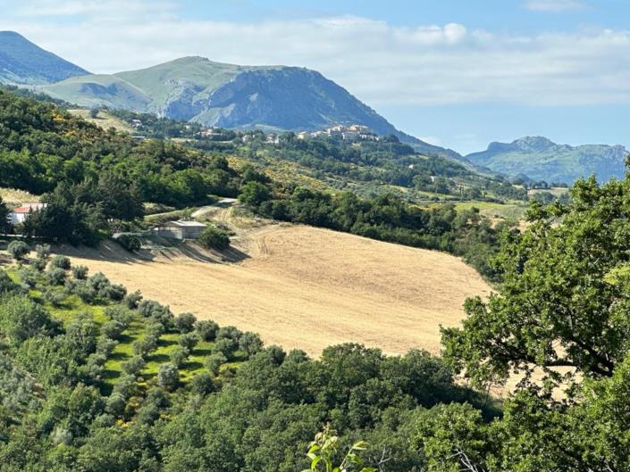 Image No.3-Ferme de 4 chambres à vendre à Corvara