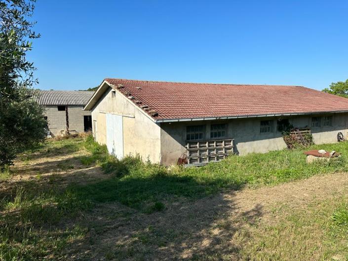 Image No.31-Ferme de 4 chambres à vendre à Corvara