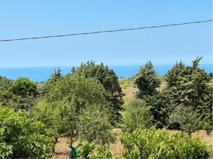 Image No.7-6 Bed House/Villa for sale