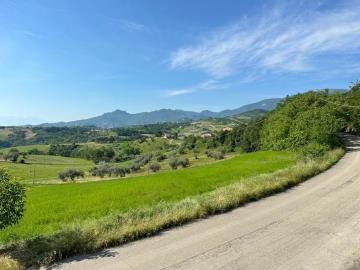 WhatsApp-Image-2023-06-19-at-15-05-49--2-