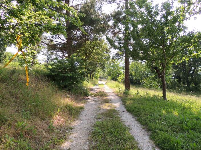 Image No.4-Propriété de pays de 3 chambres à vendre à San Valentino in A.C.