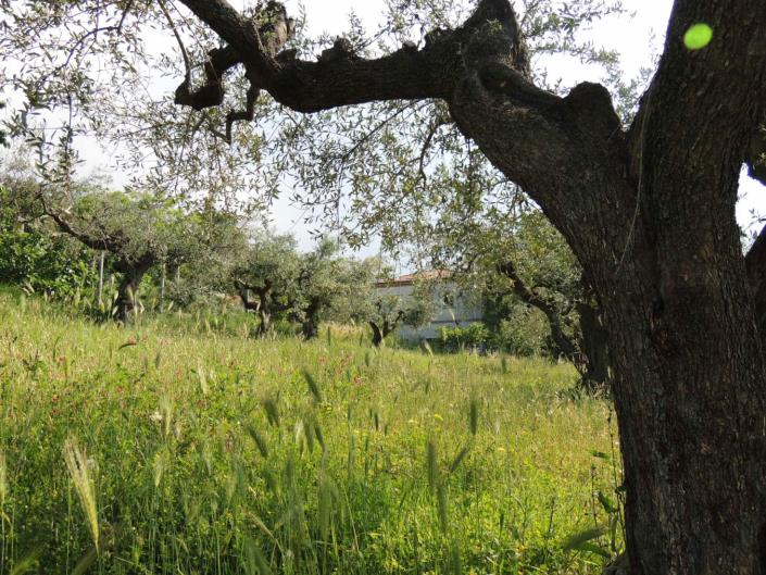 Image No.19-Propriété de pays de 3 chambres à vendre à San Valentino in A.C.