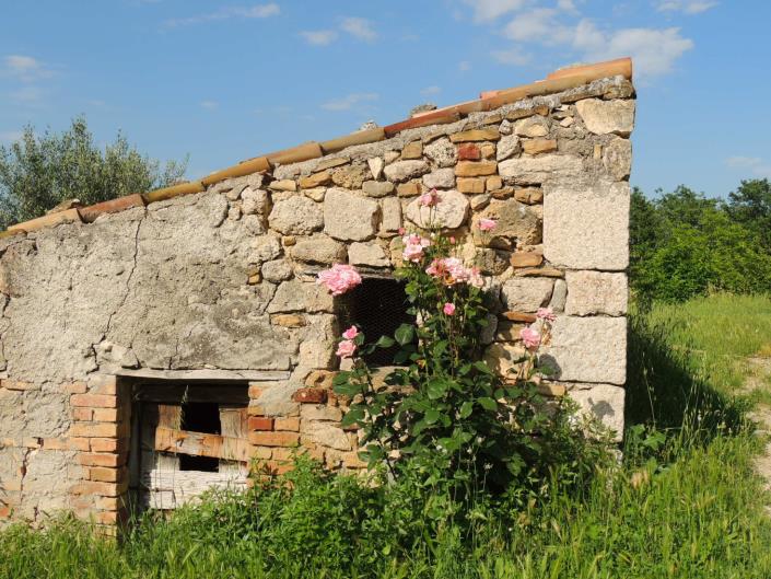 Image No.20-Propriété de pays de 3 chambres à vendre à San Valentino in A.C.
