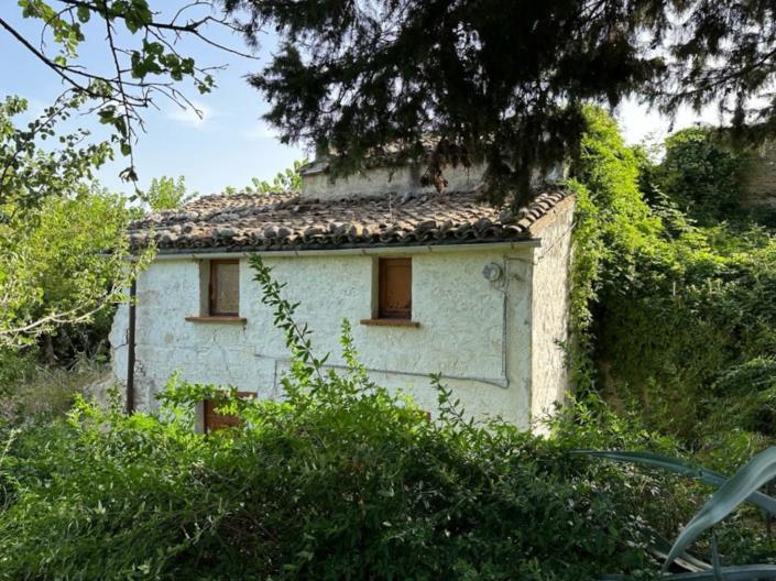 Image No.2-Ferme à vendre à Turrivalignani