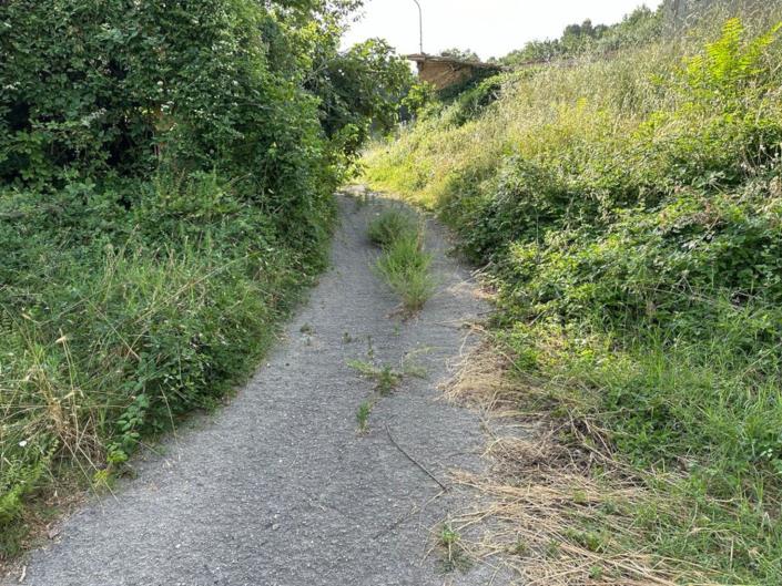 Image No.16-Ferme à vendre à Turrivalignani