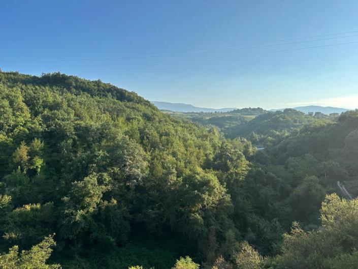 Image No.20-2 Bed House for sale