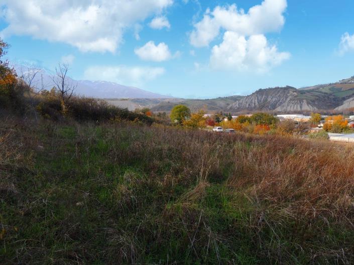 Image No.5-Land for sale