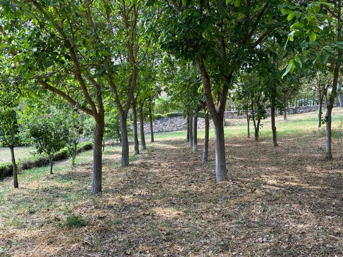 Image No.26-Restaurant à vendre à L'Aquila