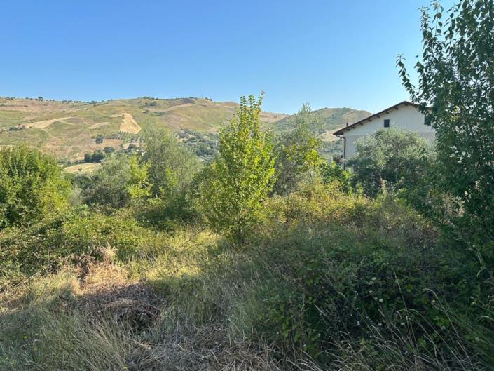 Image No.2-Land for sale