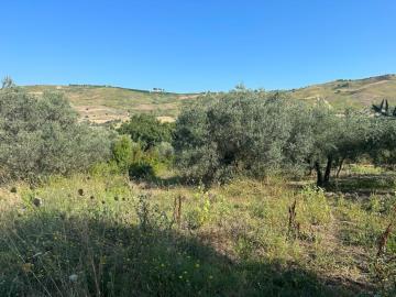 WhatsApp-Image-2023-09-21-at-18-20-10--1-