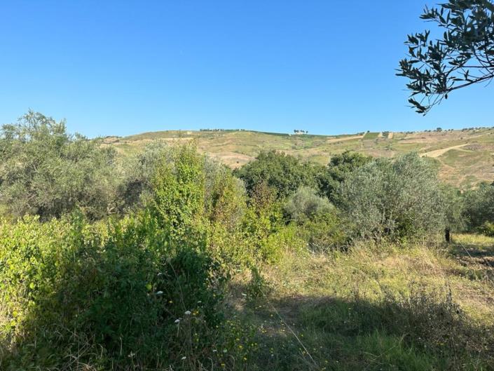 Image No.5-Land for sale