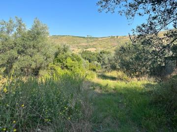 WhatsApp-Image-2023-09-21-at-18-20-10