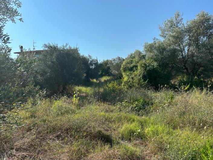 Image No.8-Land for sale