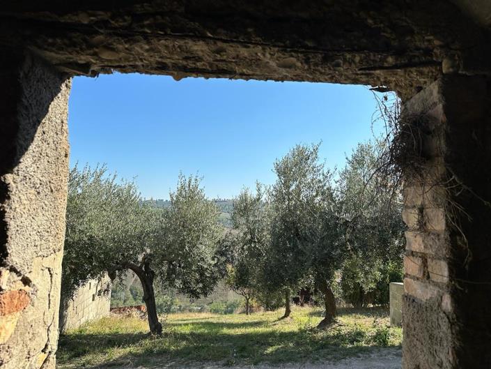 Image No.19-Maison de campagne de 3 chambres à vendre à Montefino