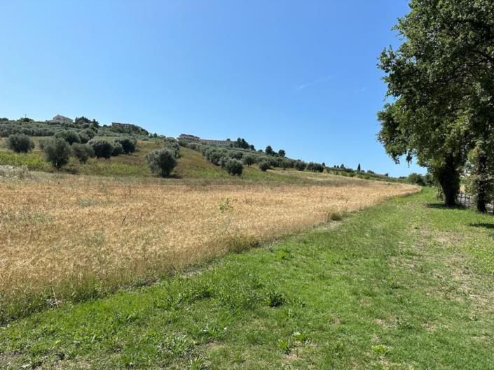 Image No.23-Maison de 3 chambres à vendre à Alanno