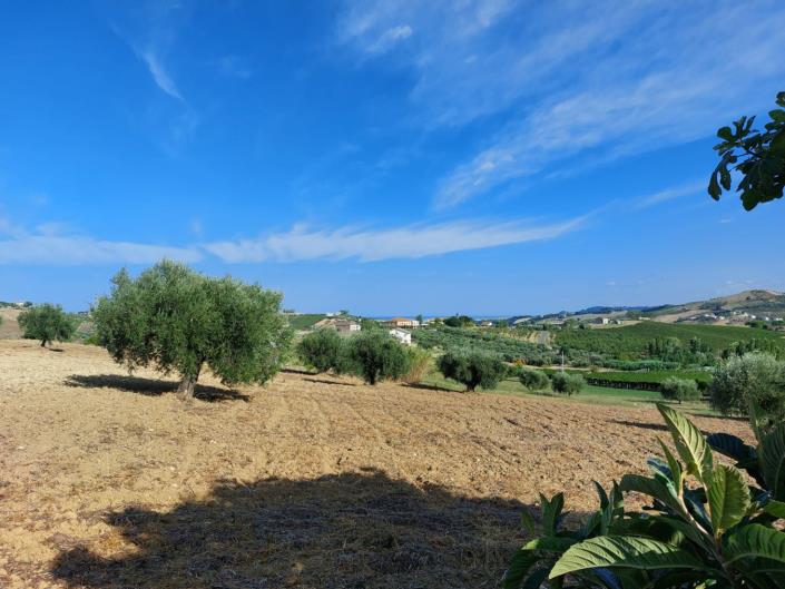 Image No.21-2 Bed Cottage for sale