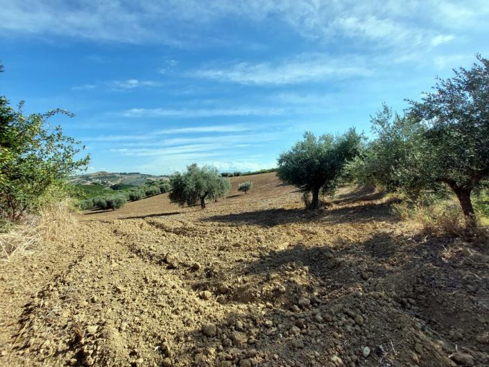 Image No.24-2 Bed Cottage for sale