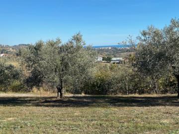 1 - Montesilvano, Terre