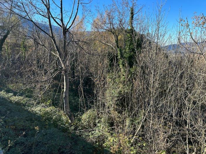 Image No.11-Terre à vendre à Caramanico Terme