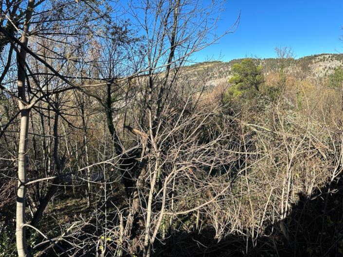 Image No.15-Terre à vendre à Caramanico Terme