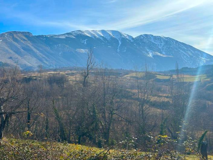 Image No.11-4 Bed Villa / Detached for sale