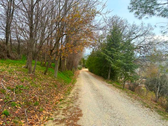 Image No.11-Ferme de 10 chambres à vendre à Teramo