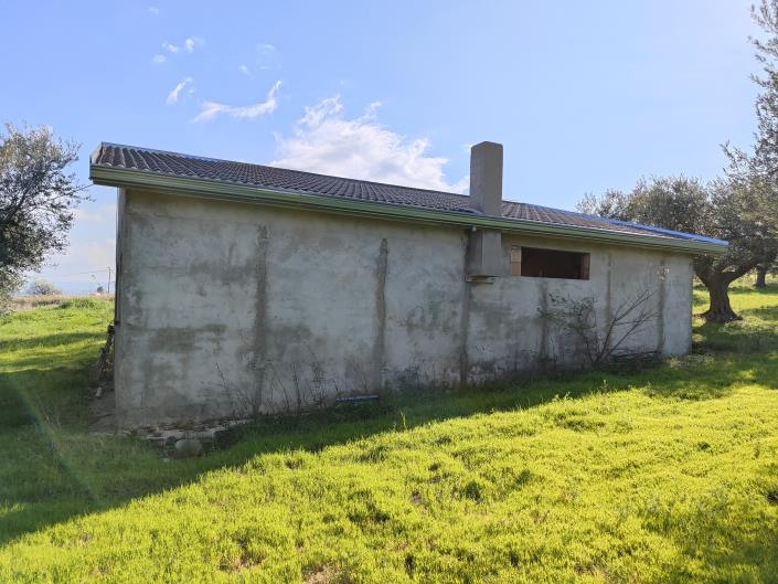 Image No.3-Terre à vendre à Guglionesi