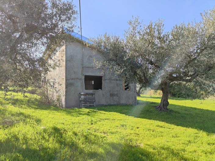 Image No.4-Terre à vendre à Guglionesi