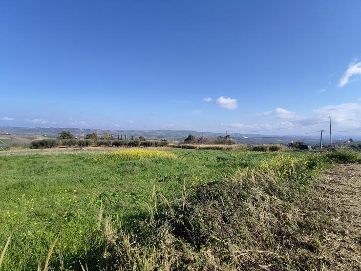 Image No.8-Terre à vendre à Guglionesi