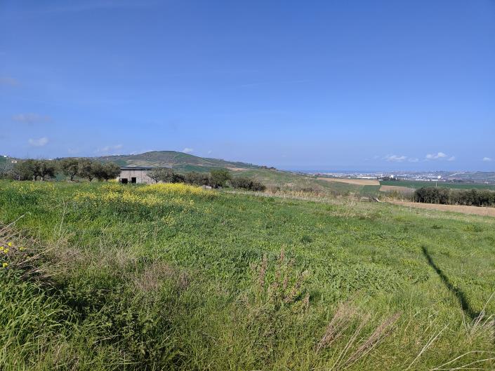 Image No.9-Terre à vendre à Guglionesi