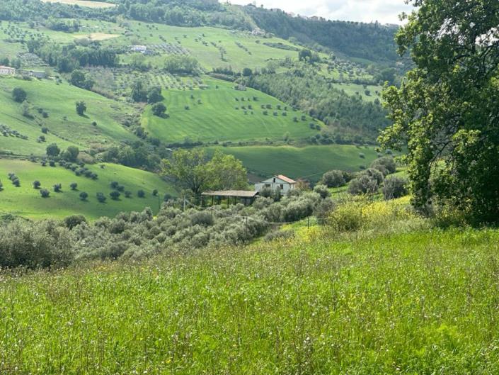 Image No.6-2 Bed Cottage for sale