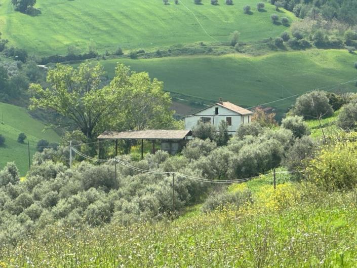 Image No.7-2 Bed Cottage for sale