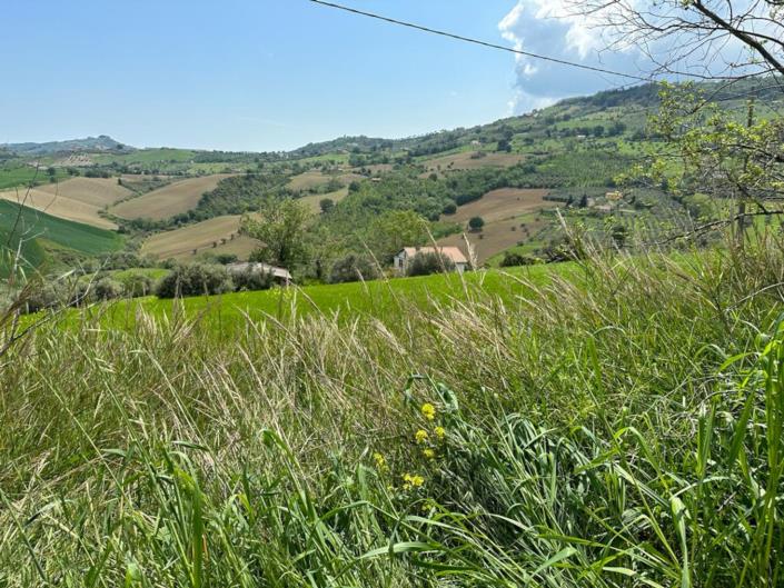 Image No.8-2 Bed Cottage for sale