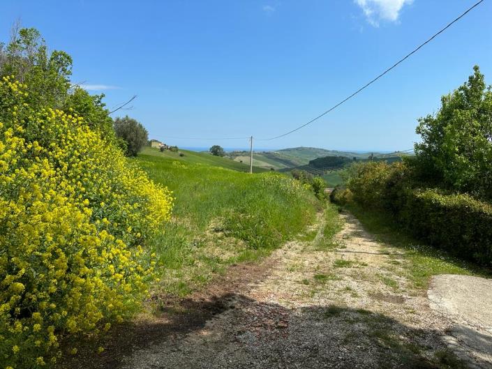 Image No.11-2 Bed Cottage for sale