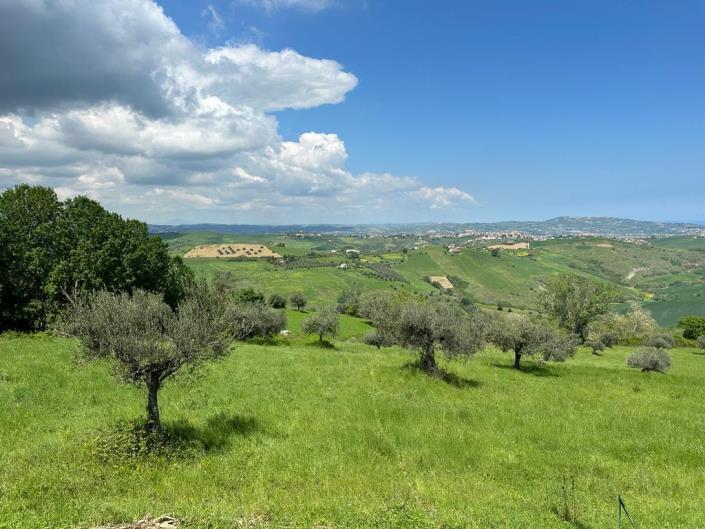 Image No.12-2 Bed Cottage for sale