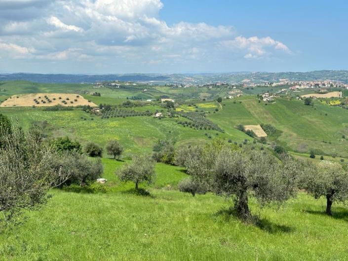 Image No.13-2 Bed Cottage for sale