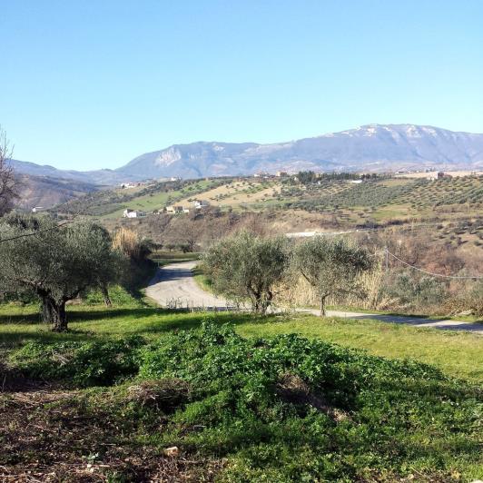 Image No.15-2 Bed Property for sale